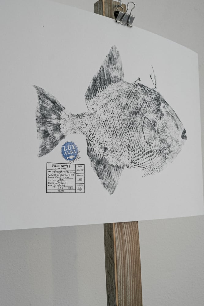 Image of Paper Fish *A3 | E.25 