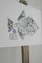 Image of Paper Fish *A3 | E.25 