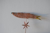 Image 2 of Medieval fish 4 (small)