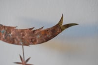 Image 3 of Medieval fish 5