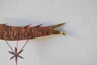 Image 2 of Medieval fish 6