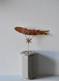 Image 1 of Medieval fish 6