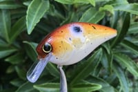 Image 8 of SPEEDBAITS Custom Airbrushed Lucky Squarebill 58