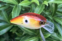 Image 12 of SPEEDBAITS Custom Airbrushed Lucky Squarebill 58