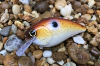 Image 1 of SPEEDBAITS Custom Airbrushed Lucky Squarebill 58