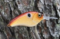 Image 6 of Custom Airbrushed Crankbait 127