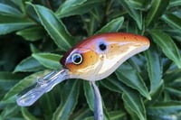 Image 9 of Custom Airbrushed Crankbait 127