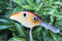 Image 11 of Custom Airbrushed Crankbait 127