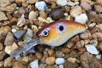 Image 1 of Custom Airbrushed Crankbait 127