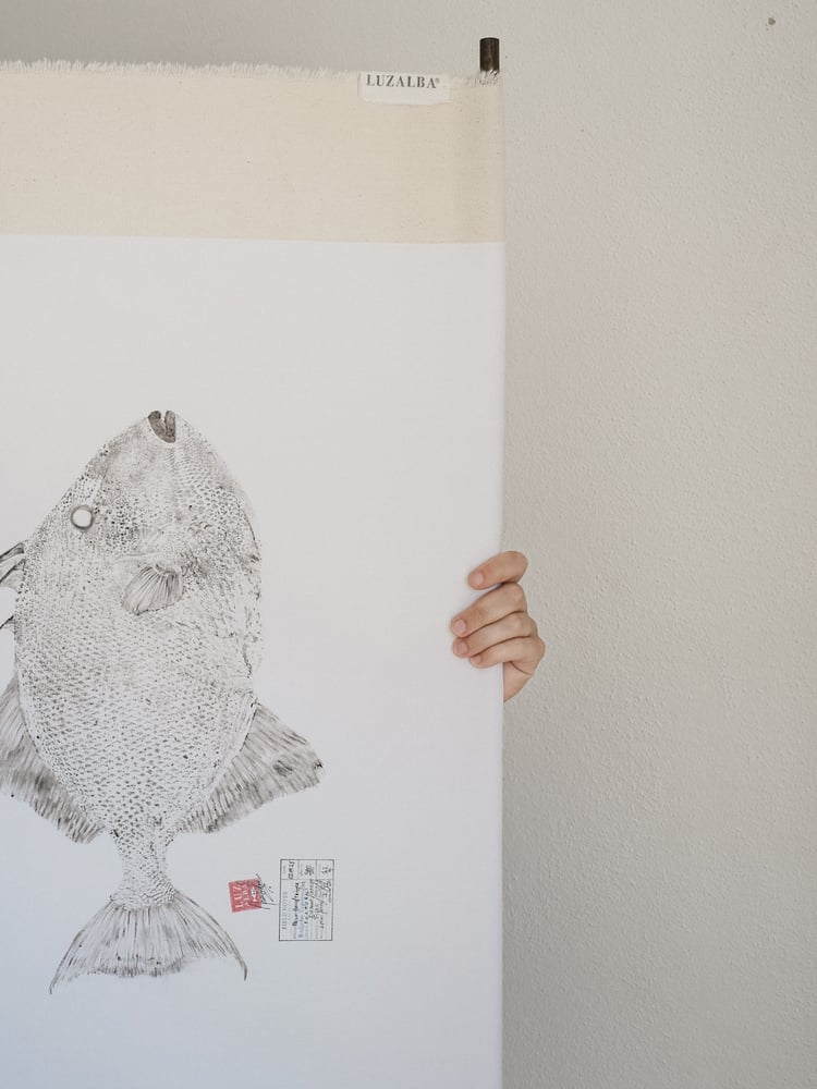 Image of Peixe-p. *L. | Triggerfish