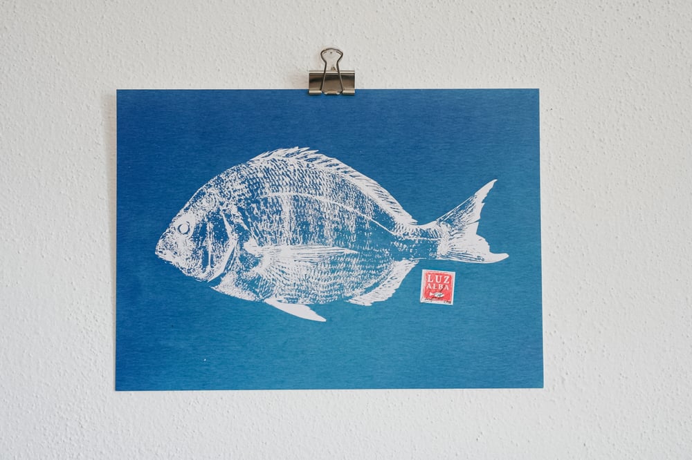 Image of Blue Fish *A4 | E.25 