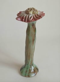 Pink stripey stemmed weed.