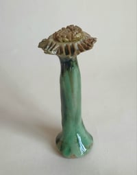 Straw coloured stripey stem weed