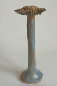 Large speckle stem weed.