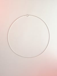 Image 2 of CODA DI TOPO 🐁