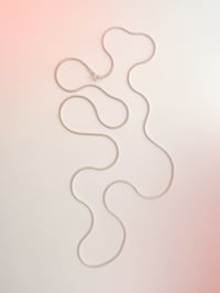 Image 3 of CODA DI TOPO 🐁