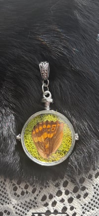 Image 4 of Lg Curiosity Locket II