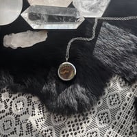 Image 2 of Curiosity Locket I