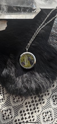 Image 3 of Curiosity Locket I