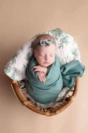 Image of Black Friday Newborn Only Deal 