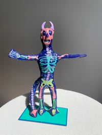 Image 1 of The X-Ray