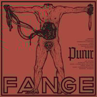 FANGE - Punir LP 