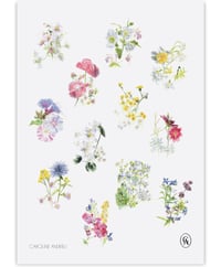 Image 3 of « Sauvages » 2026 Calendar