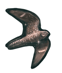 "Dusk Dancers - Common Nighthawk" Vinyl Sticker