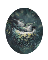 "Safe Among The Shadows" Hummingbird Nestlings Vinyl Sticker