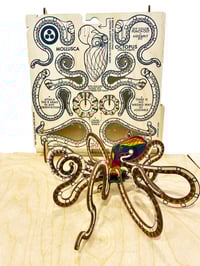 Image 1 of JCR MOLLUSCA : DIY COLOR OCTOPUS