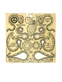 Image 2 of JCR MOLLUSCA : DIY COLOR OCTOPUS