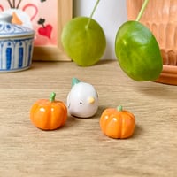 Image 2 of duo de mini citrouilles