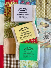 Image 1 of Foragers Collection