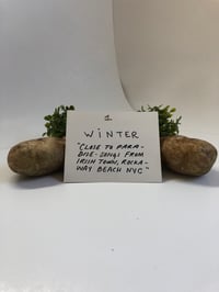 Image 2 of Banish Folklore Zine Series Subscription 2026