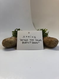 Image 3 of Banish Folklore Zine Series Subscription 2026