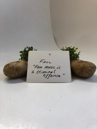 Image 5 of Banish Folklore Zine Series Subscription 2026