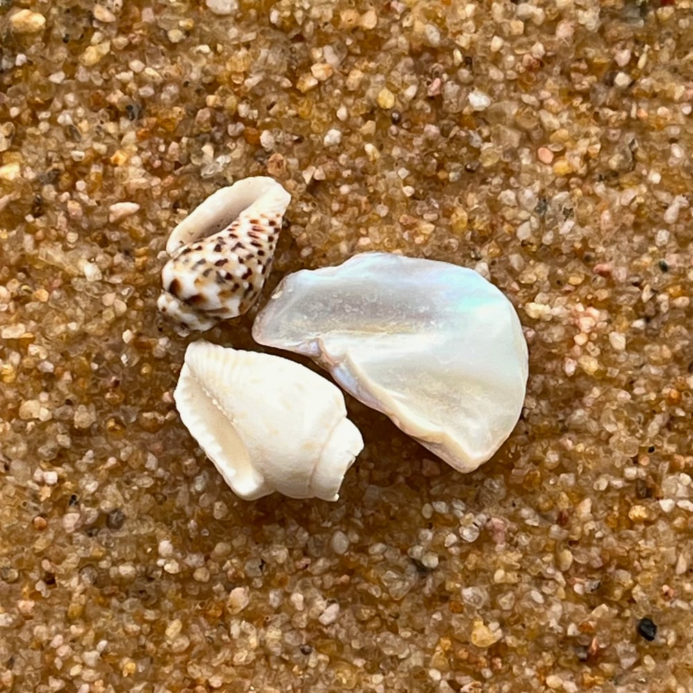 Small Beach Painting #4