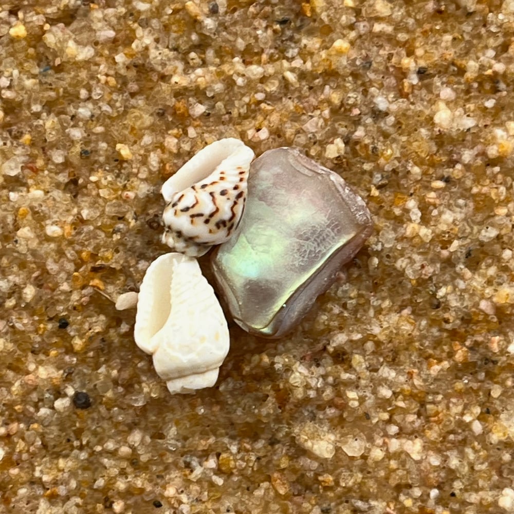 Small Beach Painting #5