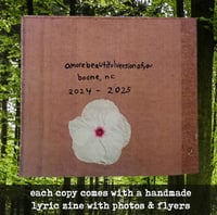 Image 7 of amorebeautifulversionofyou - reflections: a discography