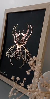 Image 3 of Envol du scarabée