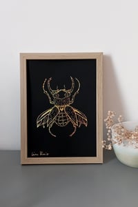 Image 2 of Envol du scarabée