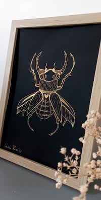 Image 5 of Envol du scarabée