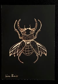 Image 1 of Envol du scarabée