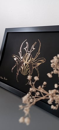 Image 2 of Scarabée volant