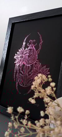 Image 3 of Scarabée à la fleur de cactus