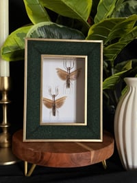 PRAYING MANTIS DUO - green fabric