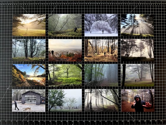 Image of 2025 Postcards