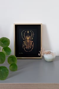 Image 4 of Scarabée Tribal