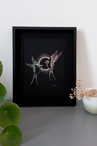 Image 3 of Hirondelles