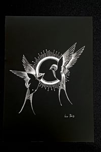 Image 1 of Hirondelles